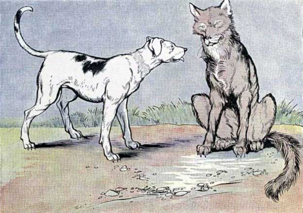 THE WOLF AND THE LEAN DOG